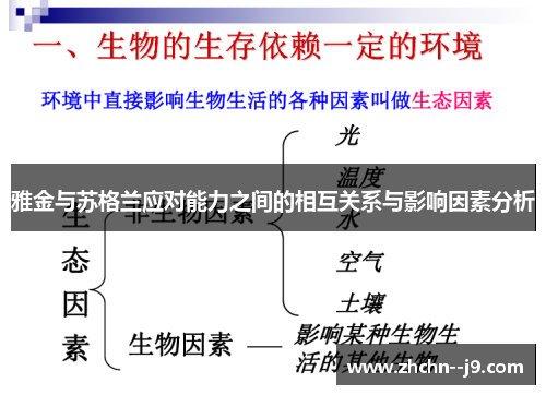 雅金与苏格兰应对能力之间的相互关系与影响因素分析 雅金与苏格兰应对能力之间的相互关系与影响因素分析