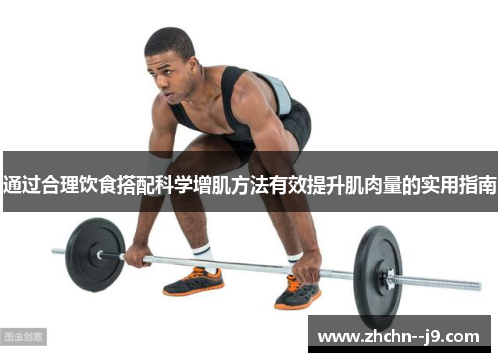 通过合理饮食搭配科学增肌方法有效提升肌肉量的实用指南 通过合理饮食搭配科学增肌方法有效提升肌肉量的实用指南