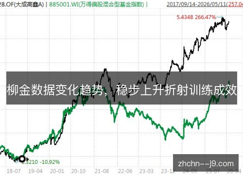柳金数据变化趋势，稳步上升折射训练成效